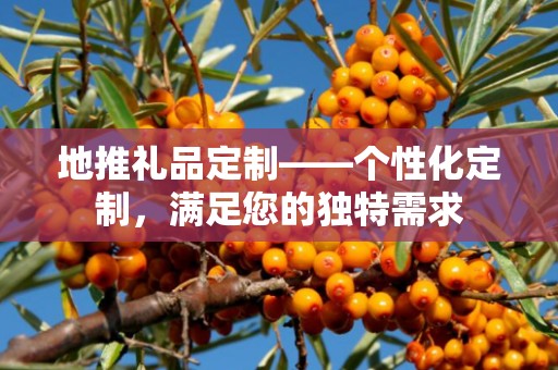 地推礼品定制——个性化定制，满足您的独特需求